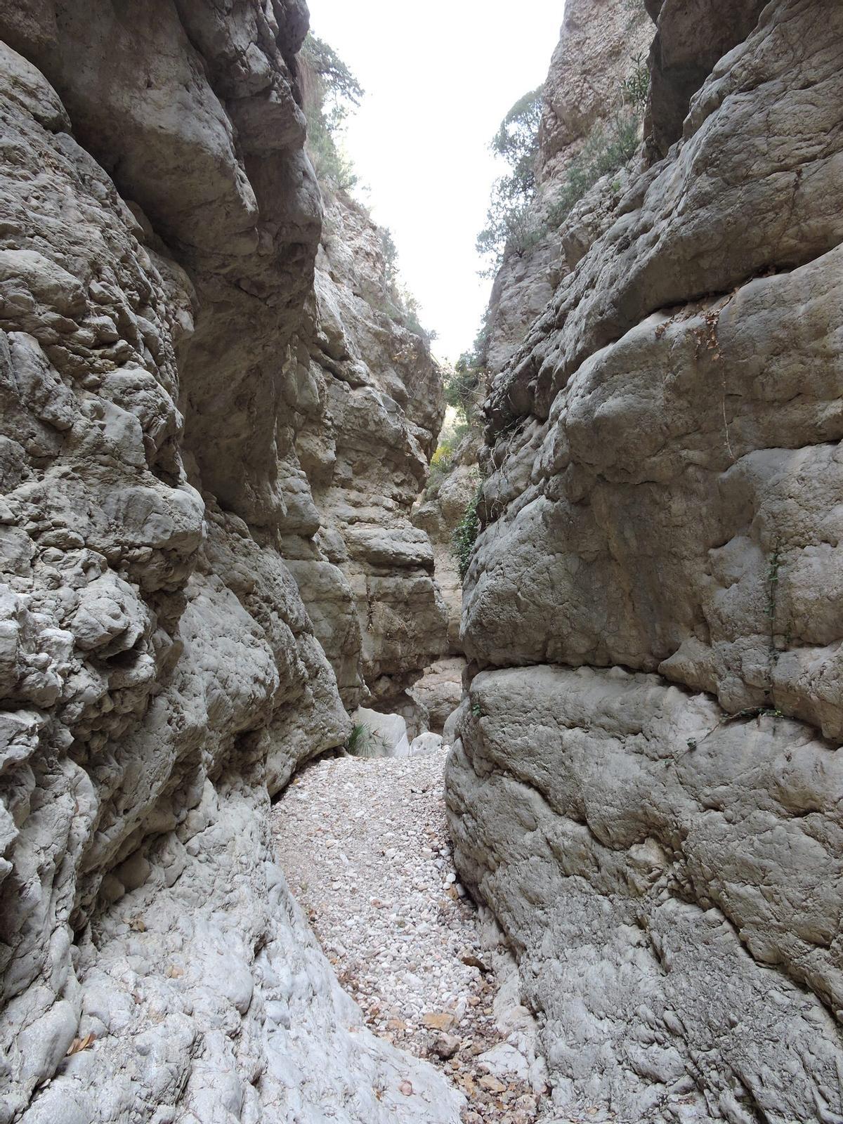 Gola de Lucino en Bicorp.