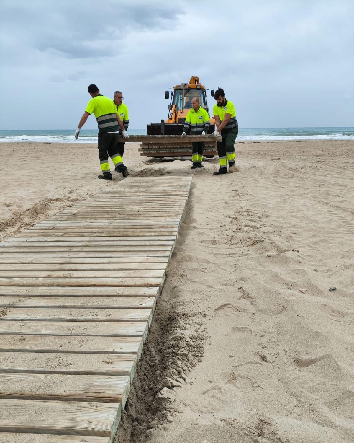 Operarios colocan pasarelas de madera en una playa de El Campello