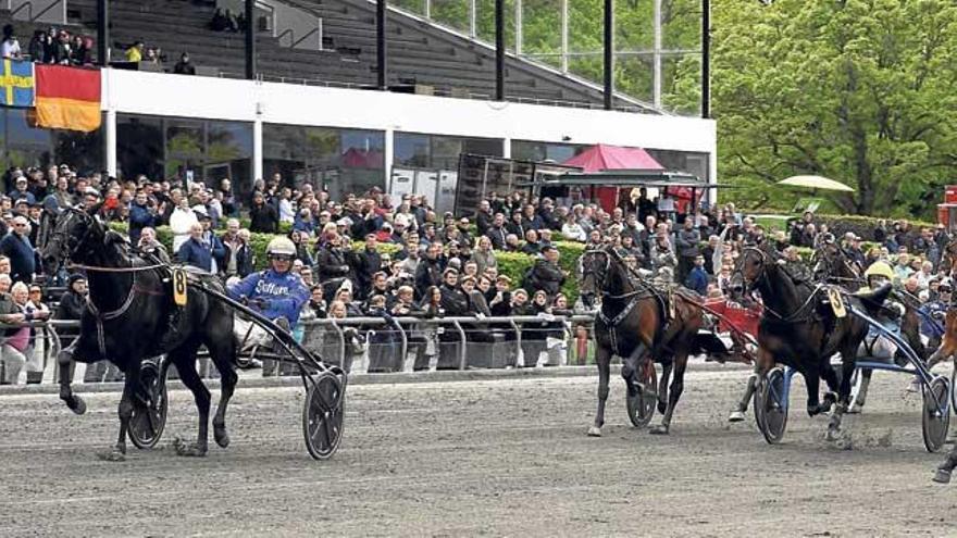 Trébol (3), con Biel Pou, remata por el centro de la pista de Charlottenlund para hacerse con el tercer puesto en la ´Copenhagen Cup´.