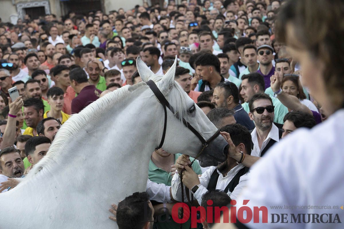 Fiestas de Caravaca | Entrega de premios del concurso morfológico