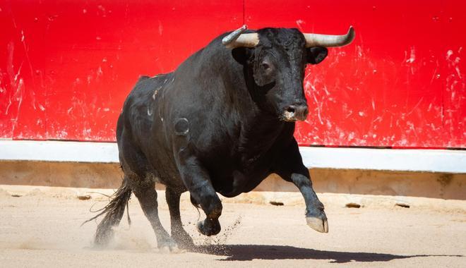 El torero Tomás Angulo herido "muy grave" tras una cogida en la plaza de Moralzarzal