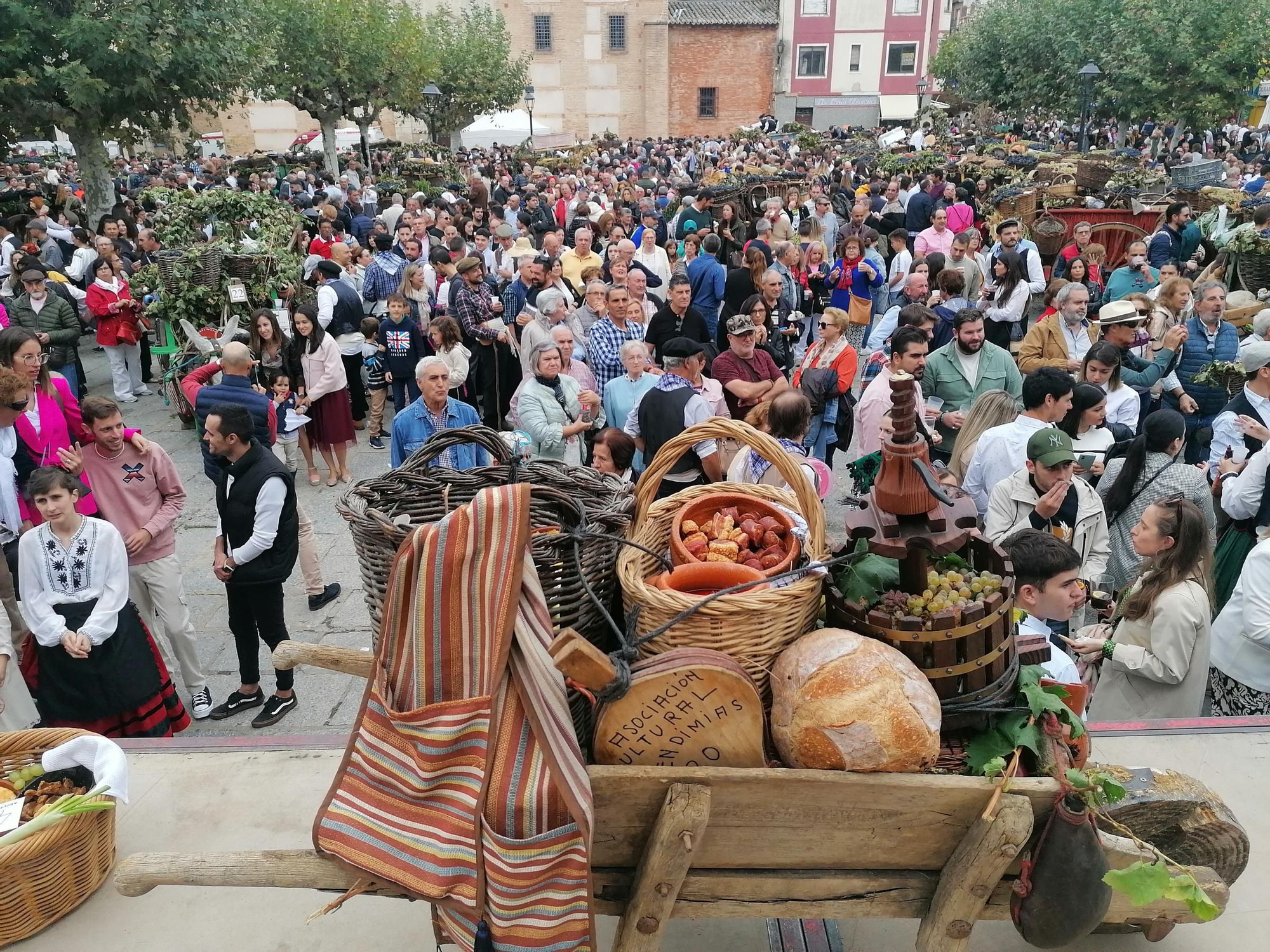 GALERÍA | Toro recrea la vendimia tradicional en el desfile de carros