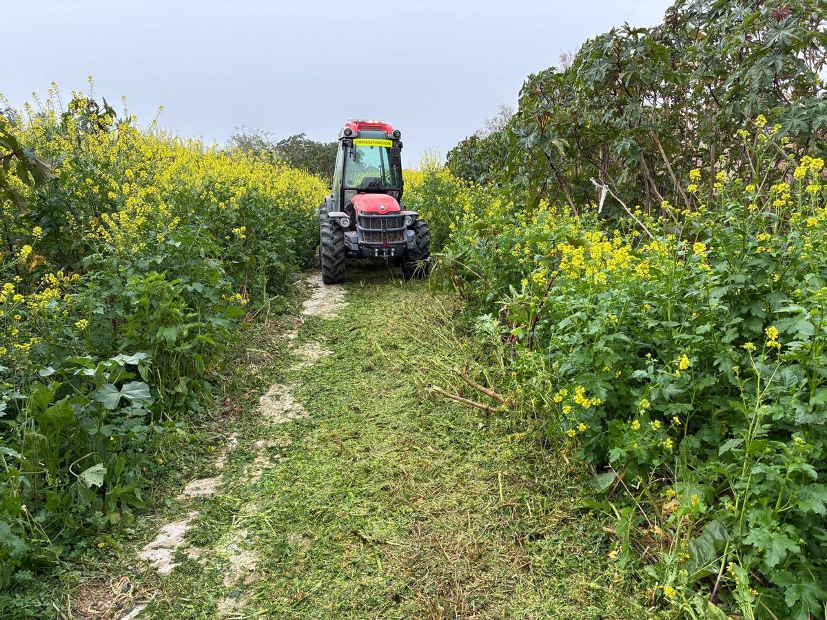 Una de las zonas del sendero que eran inaccesibles hasta la fecha