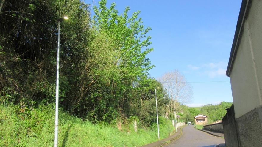 Vuelve la luz al tramo de la carretera que une El Puente con San Juan, en Parres, que llevaba días a oscuras