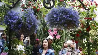 Poética de Aristóteles en cada maceta del Alcázar Viejo
