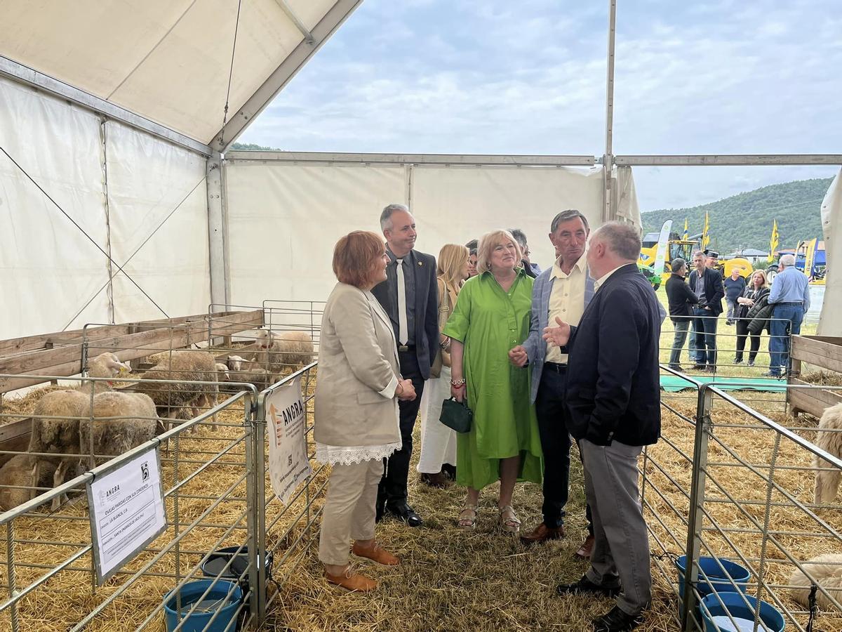 La feria cuenta con una exposición de ganado.