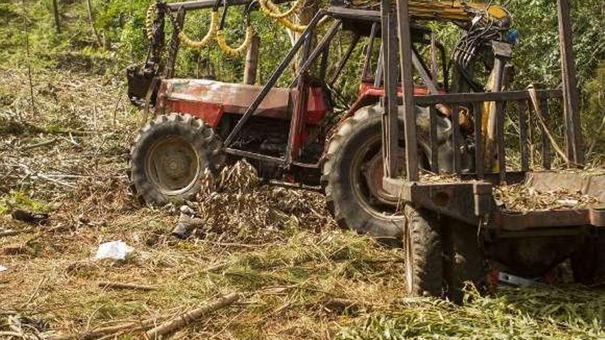 El tractor, en una zona de monte de Sestelo. // Bernabé/Ana Agra