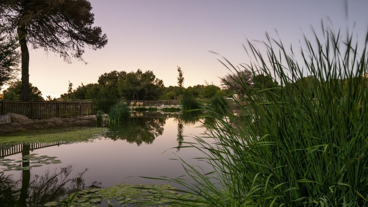 Ejemplo recontrucción verde. Nuevo parque para uso y almacenamiento agua regenerada