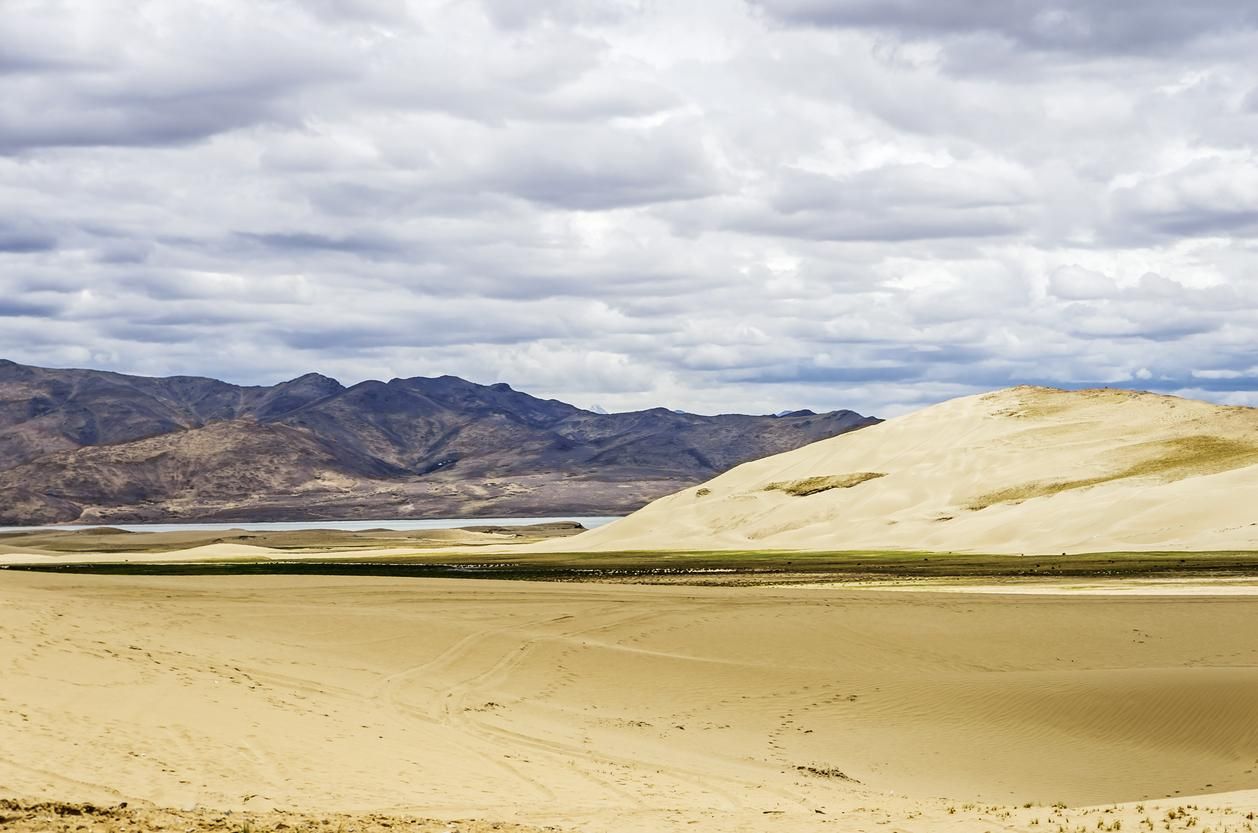 Las dunas siempre sorprenden