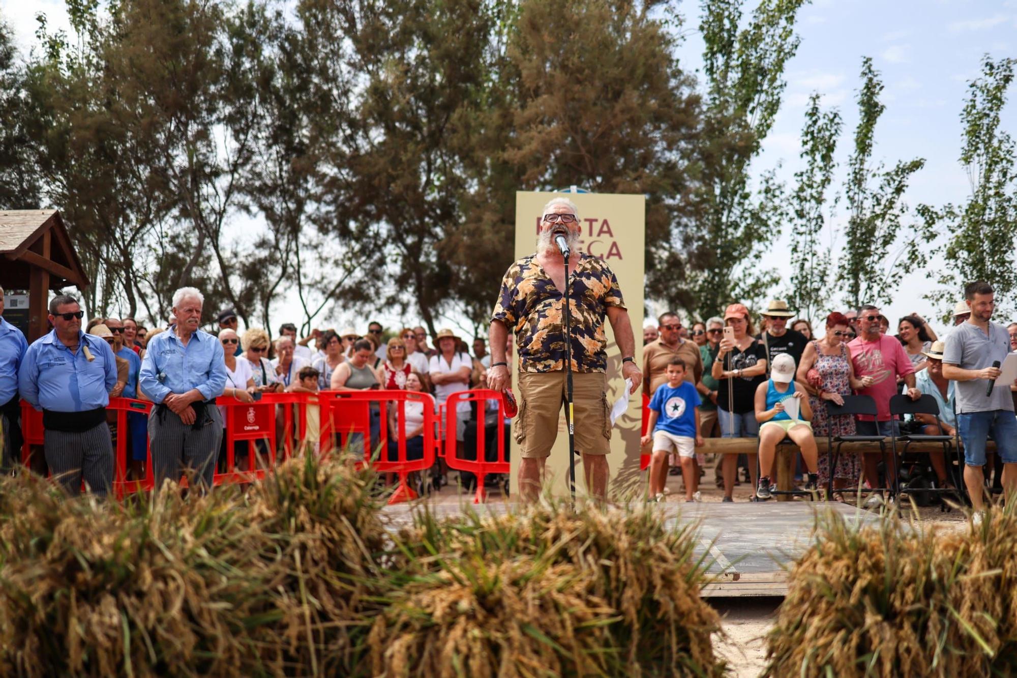 El puerto de Catarroja reúne a 5.000 personas en la Fiesta de la siega del arroz
