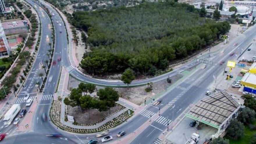 La masa forestal que será el futuro parque.