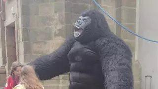 ¿Qué hace un gorila estilo King Kong paseando por el casco histórico de Santiago?
