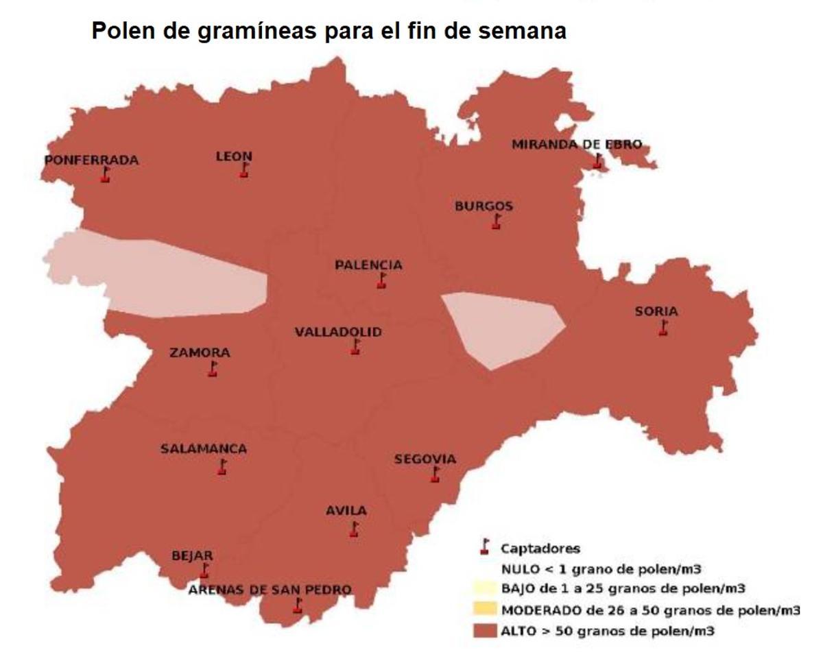 Previsión del nivel de polen de gramíneas el fin de semana