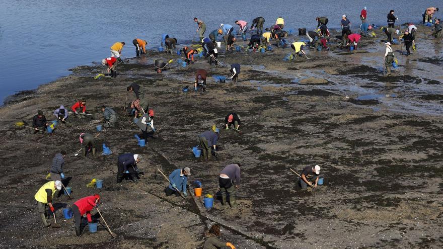 Las cofradías acuerdan de forma unánime que no retomarán el marisqueo hasta el 22 de julio