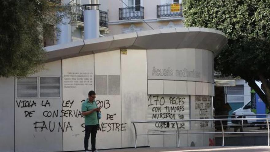 Vandalismo contra el acuario de la Plaza Nueva