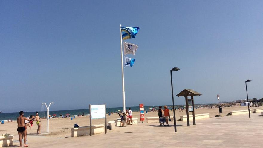 Pinedo, en València, en 2016, antes de tener que retirar la bandera azul por la playa para perros.