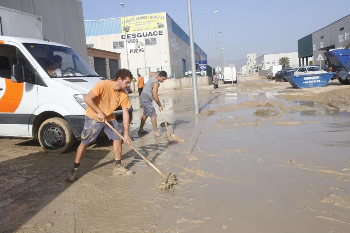 En directo: Los agricultores cifran en 550 millones las pérdidas en el campo de la provincia de Alicante