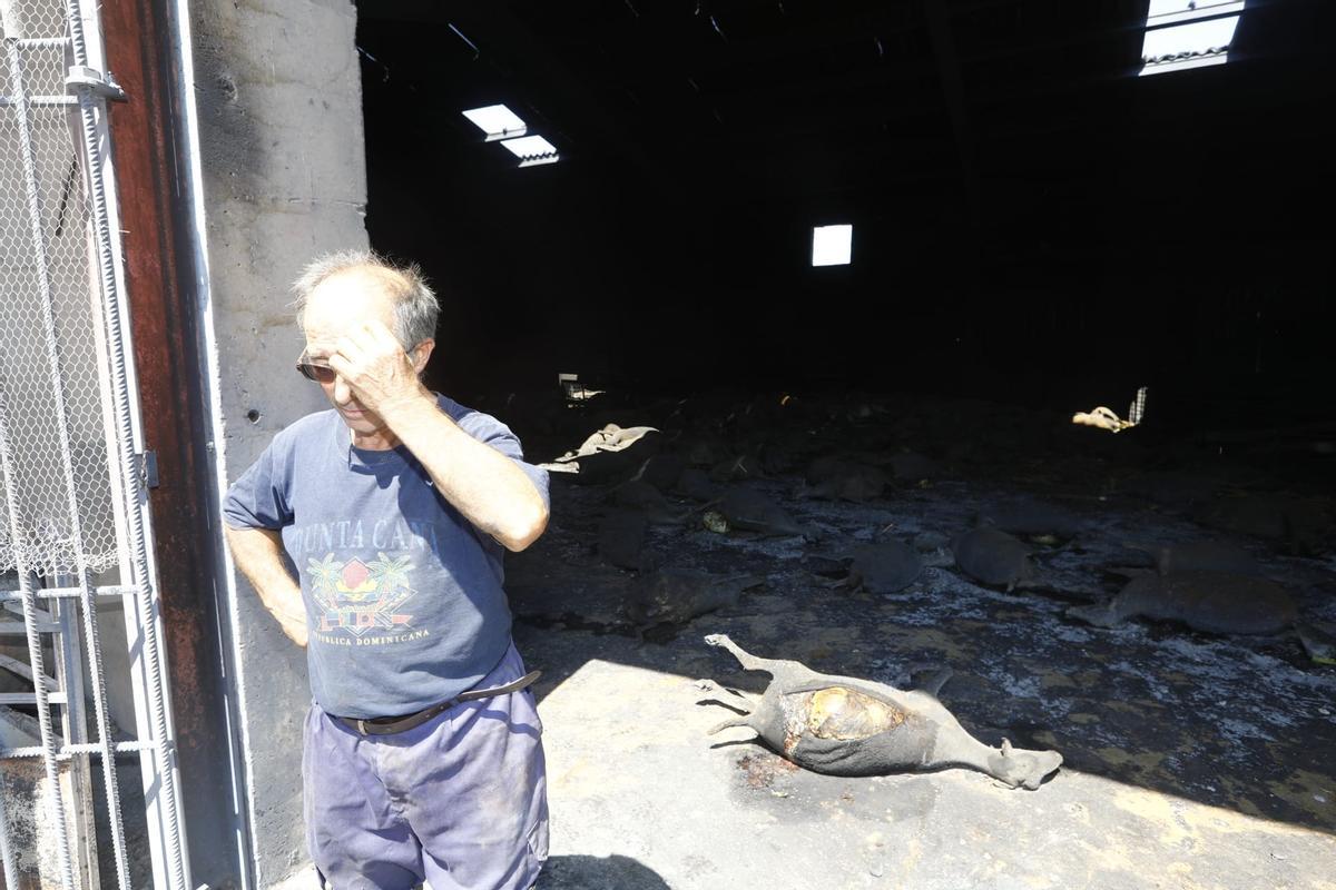 Pascual Melero, uno de los hermanos ganaderos, junto a la nave donde reposaban los 400 cadáveres de ganado ovino.
