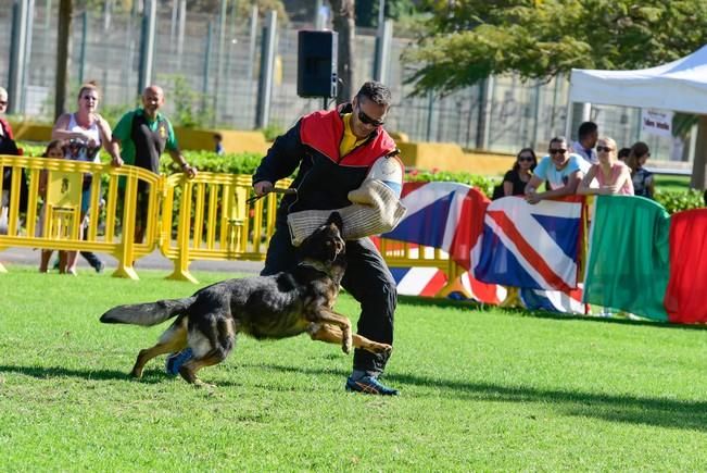 10/12/2016 MASPALOMAS. Feria de Mascotas Maspalomas 2016.Foto: SABRINA CEBALLOS