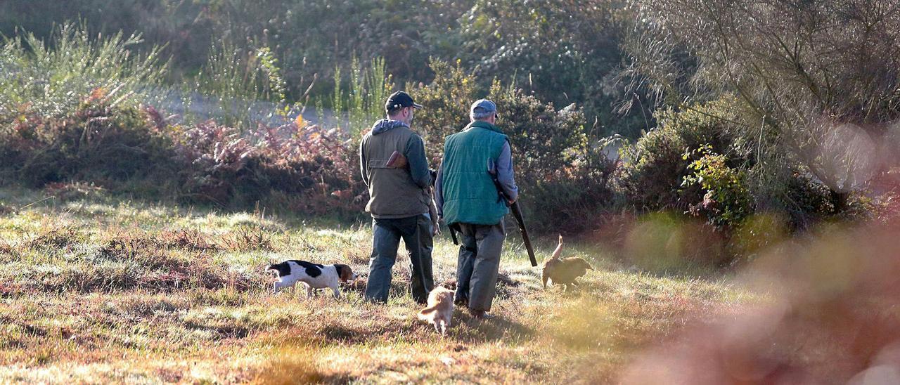 Varios cazadores con sus perros y piezas en Monte Carrio, Lalín.   | BERNABÉ/A. AGRA