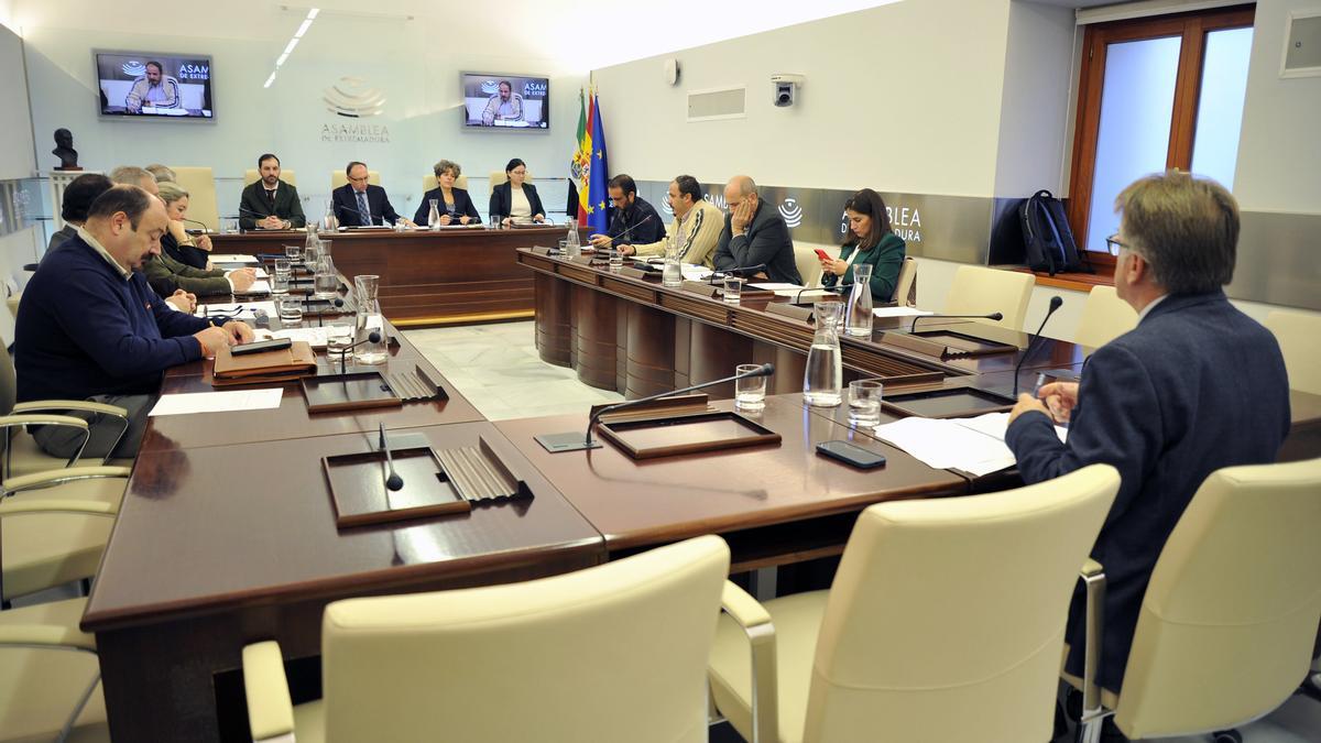 Un momento de la Comisión de Agricultura, Ganadería y Desarrollo Sostenible en la sesión de este lunes.