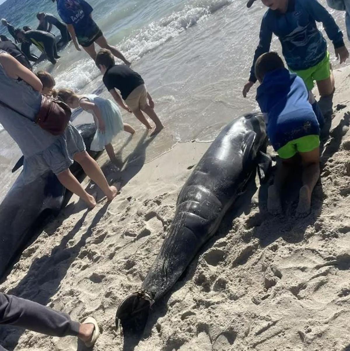 El suceso ha creado gran expectación en la zona