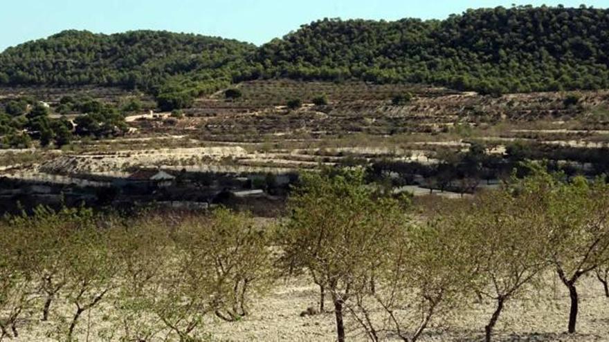 Dueños de terrenos en Sierra Escalona  consideran «expropiatoria» su protección