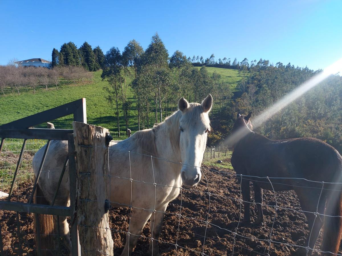 En imágenes: Así se recuerda el gran incendio de El Franco en la zona cero de la catástrofe