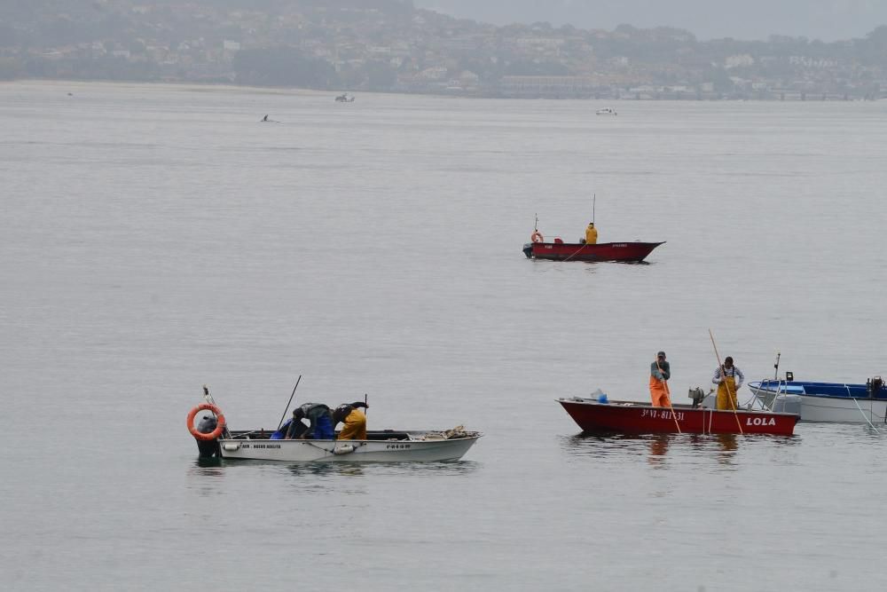 Mariscadores de Cangas y Moaña, en mar y en tierra