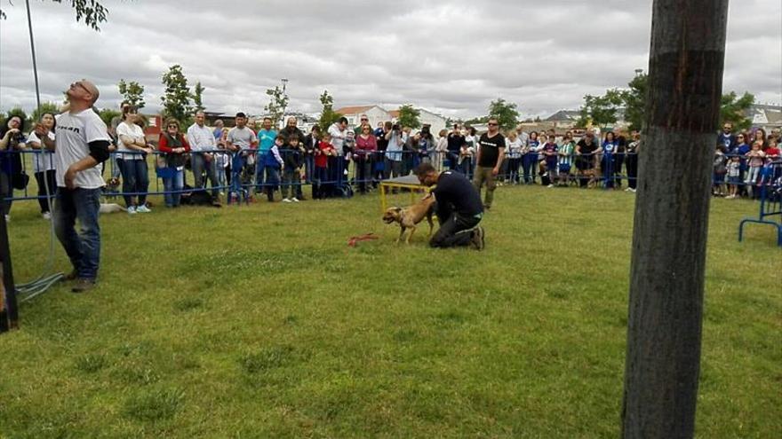 Multitudinario Día de la Mascota junto al río