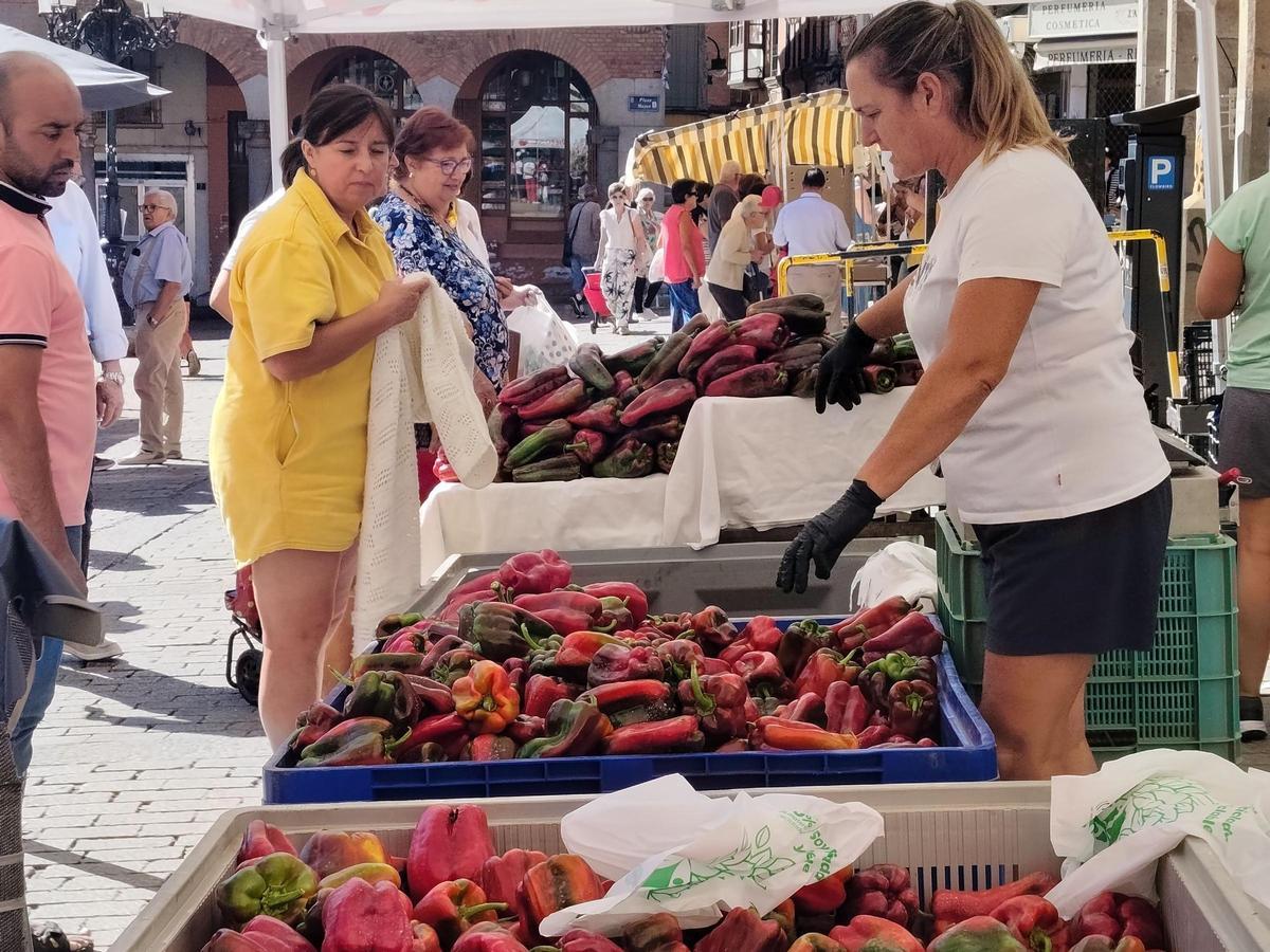 GALERÍA | El mercado de frutas y verduras de Benavente, en imágenes