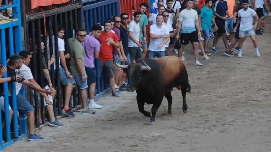 Burriana despide el primer fin de semana de fiestas de la Misericòrdia con lleno en el recinto de la vila