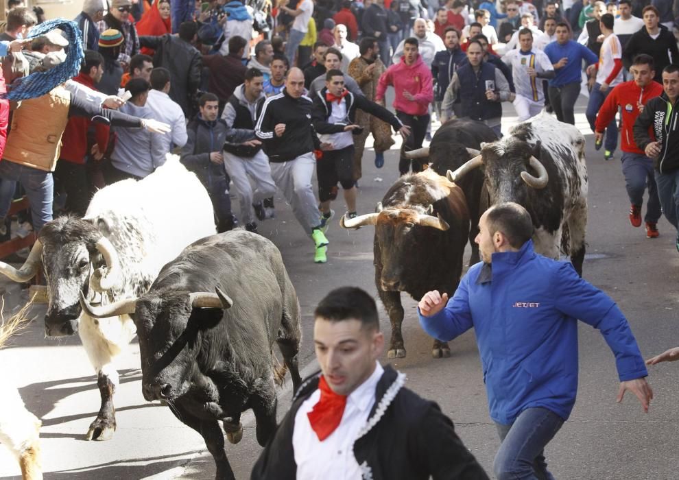 Carnaval del Toro de Ciudad Rodrigo