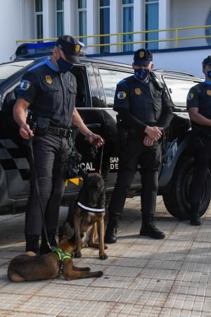 Reestructuración de la Policía Local de Maspalomas