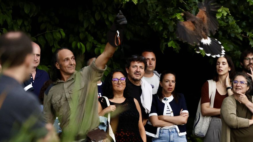 &quot;Nocturnia&quot; vuela alto como el búho este verano el Botánico de Gijón (en imágenes)
