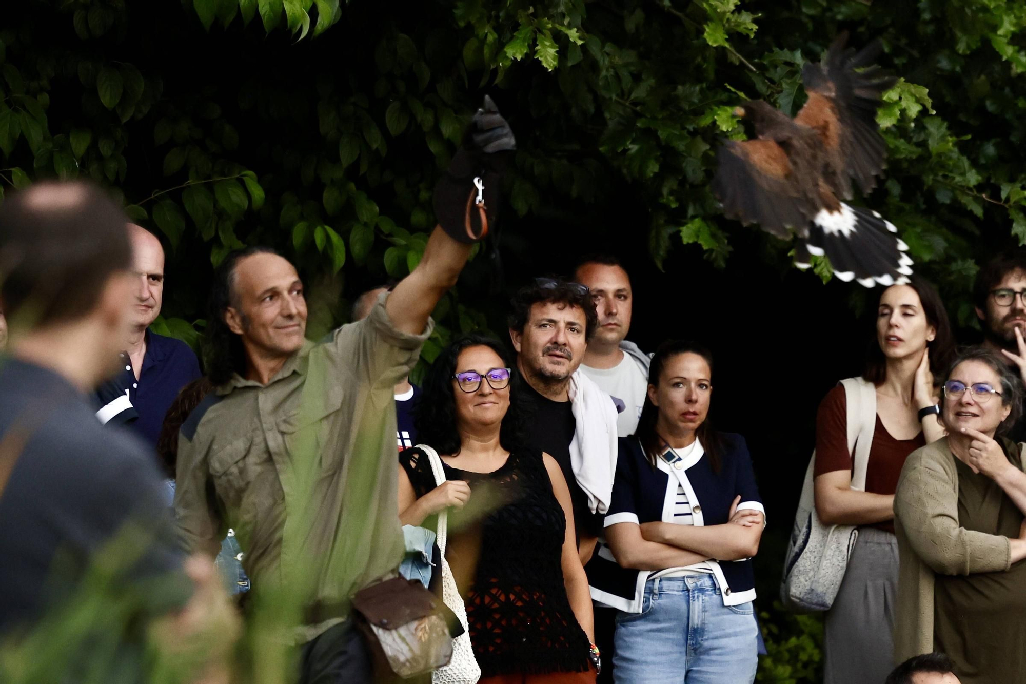 &quot;Nocturnia&quot; vuela alto como el búho este verano el Botánico de Gijón (en imágenes)