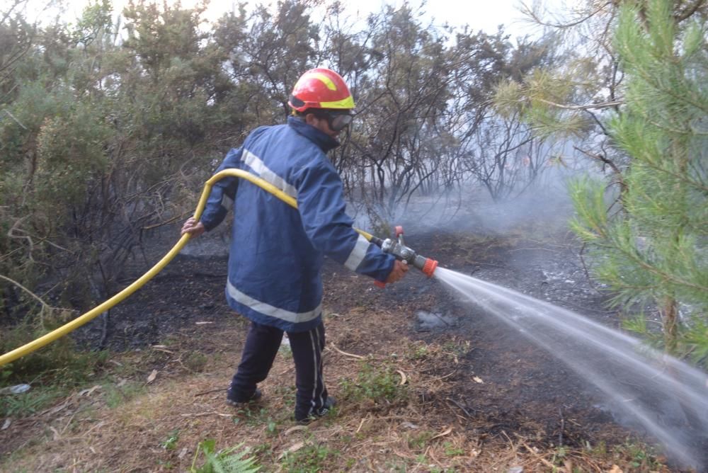 Incendio forestal en A Illa