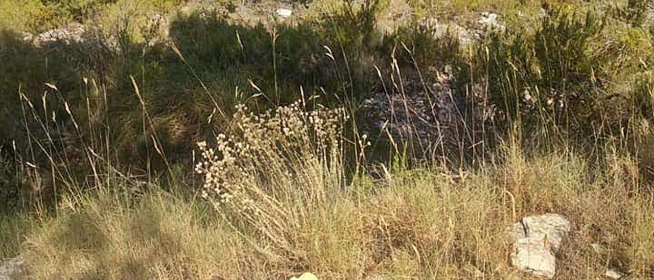 El lugar donde fue encontrado por un senderista.