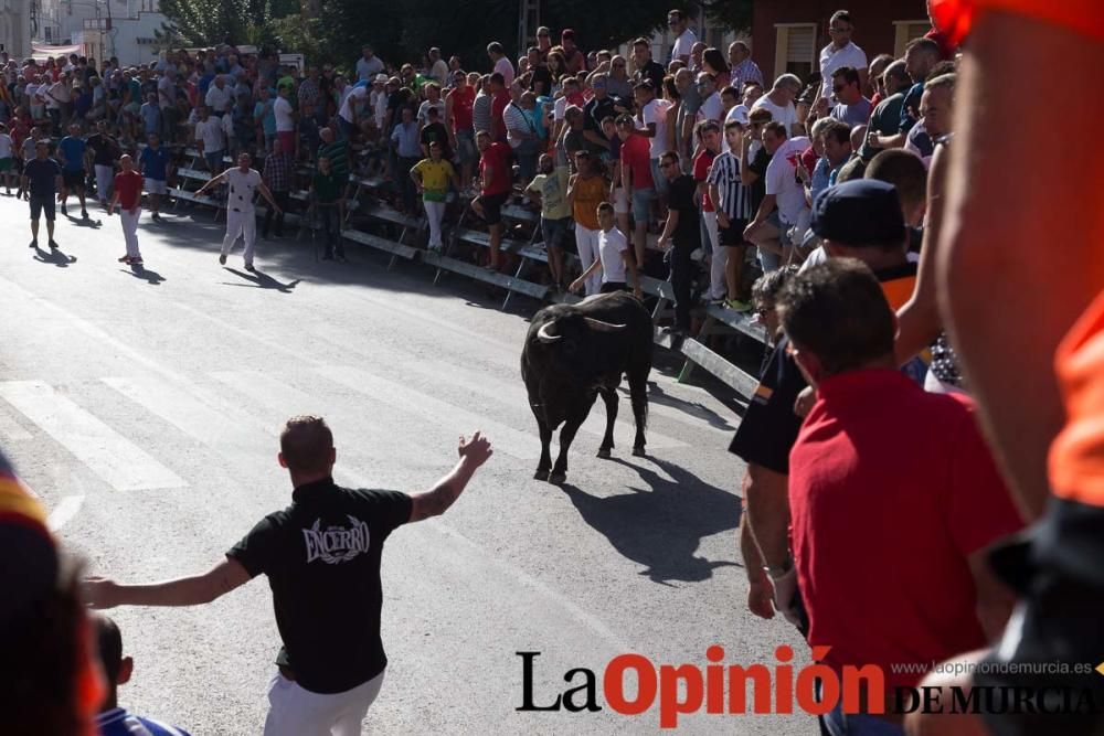 Primer encierro de Calasparra