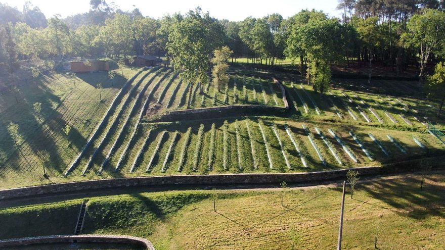 Imagen aérea de la finca, que abarca algo más de una hectárea de plantación. |