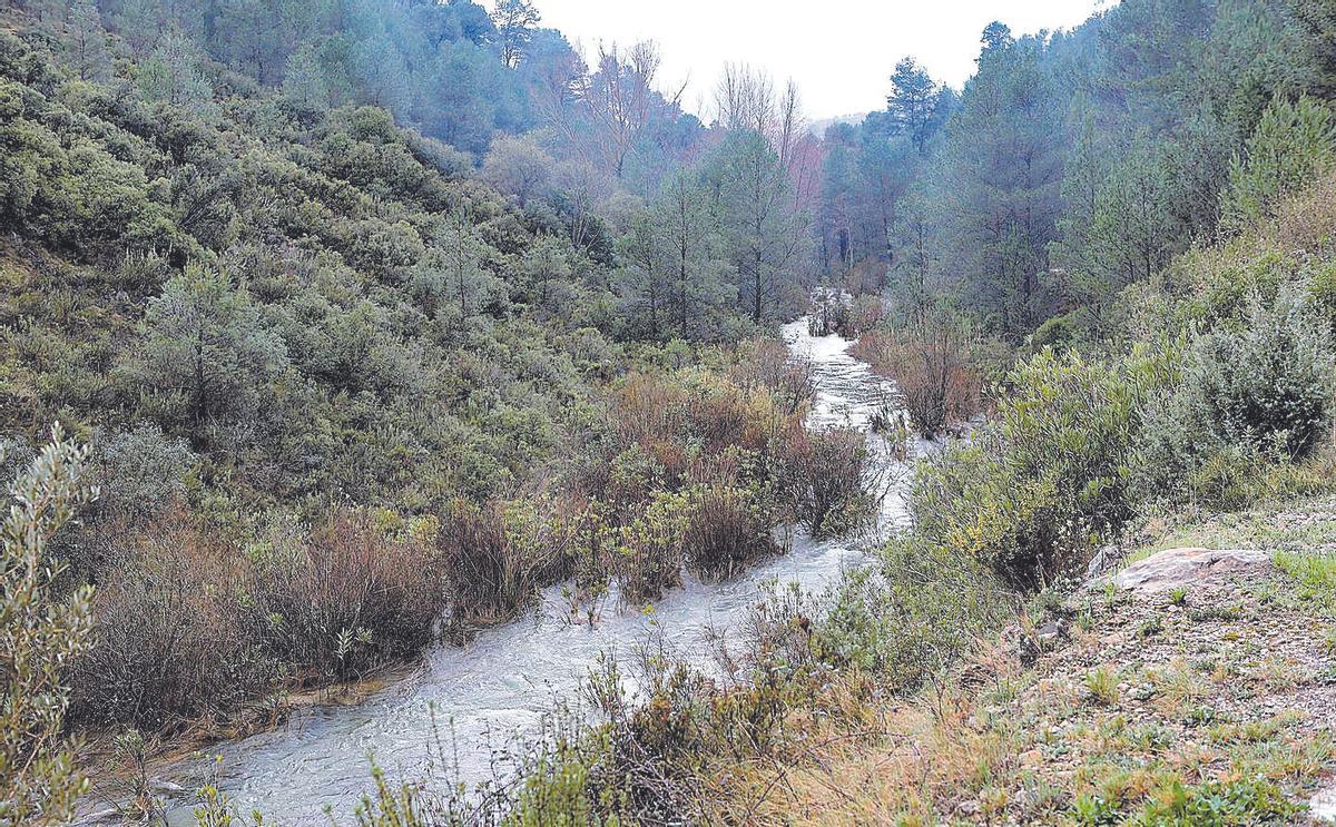 Un afluente del río Serpis en El Comtat.