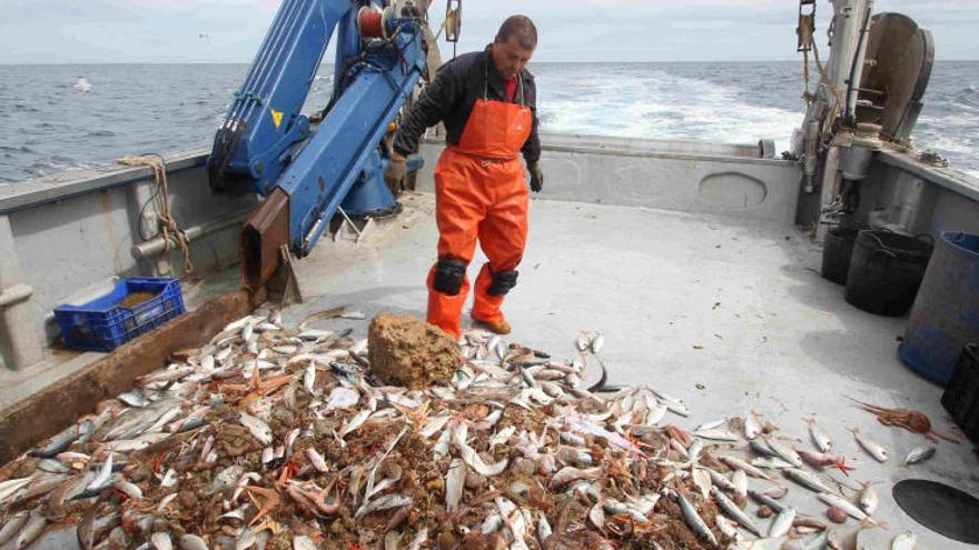 La mar se abre a la pesca-turismo