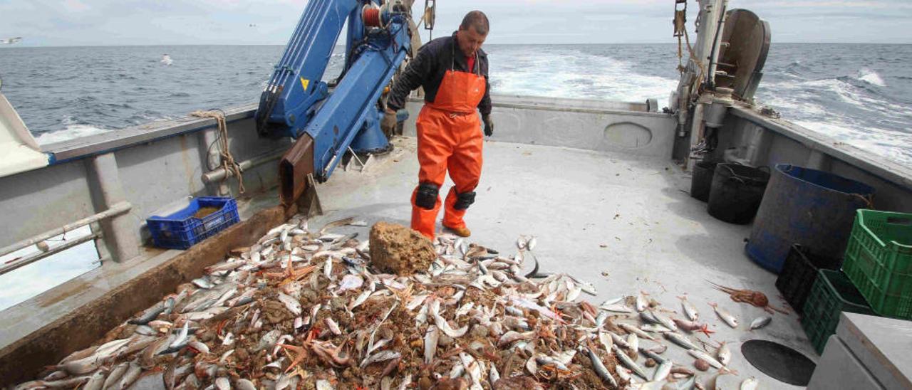 La mar se abre a la pesca-turismo