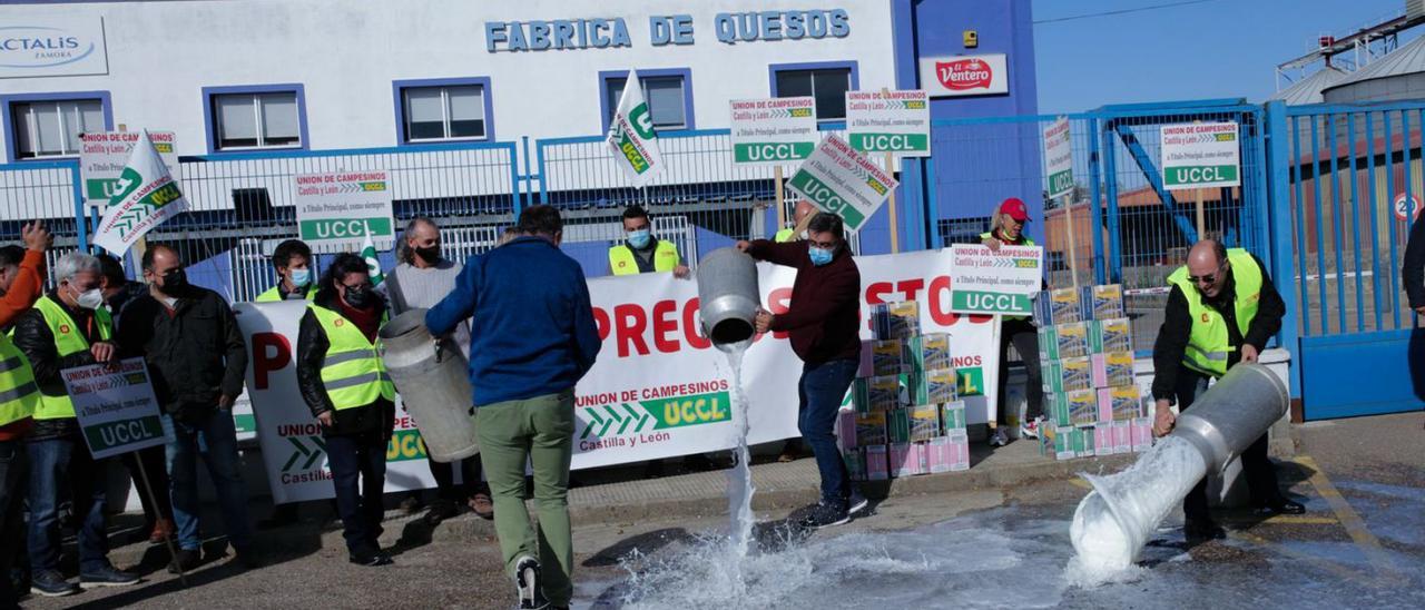 Ganaderos tiran leche a la puerta de Lactalis Zamora durante la concentración del pasado noviembre. | A. B.