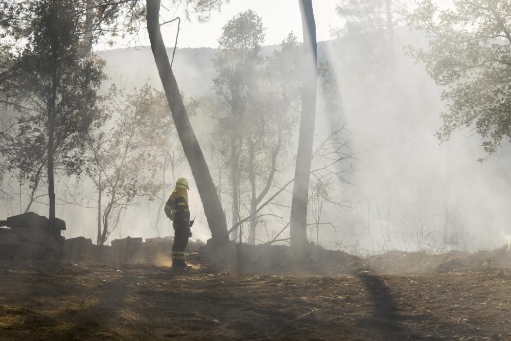 Cuatro vehículos calcinados en un incendio y otros