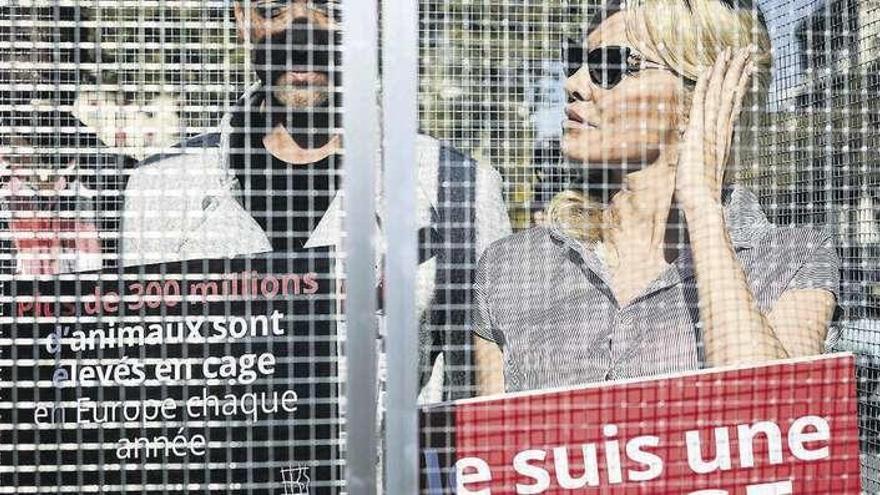 Pamela Anderson, dentro de la jaula. // AFP