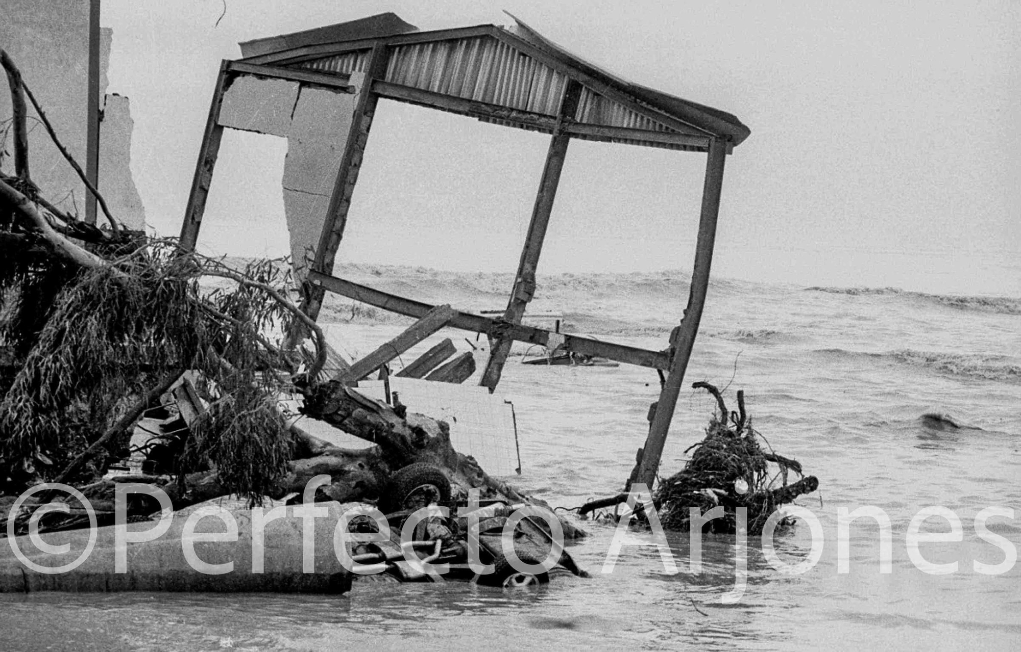 Riada de 1982: El día que Alicante se partió en dos