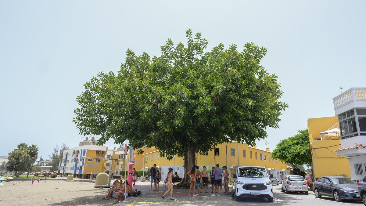 Jornada de fuerte calor en Playa del Inglés (17/07/25)