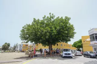 Jornada de fuerte calor en Playa del Inglés (17/07/25)