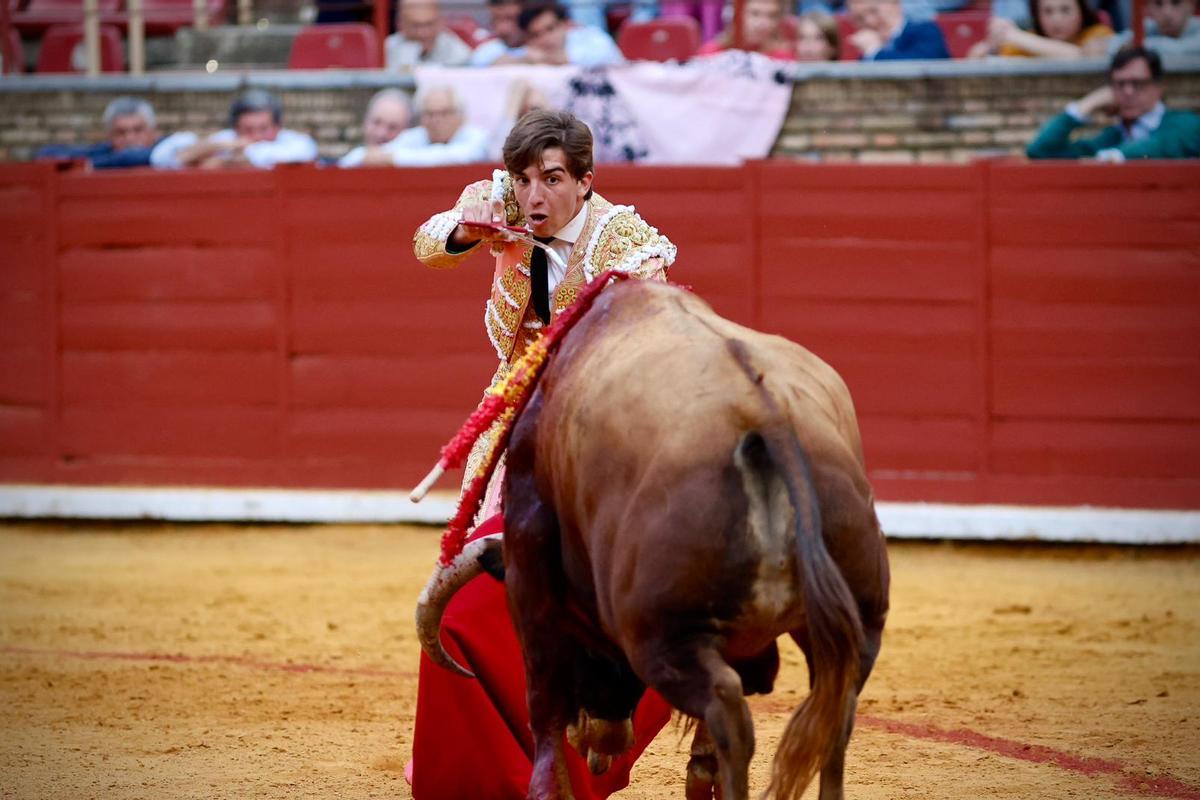 La novillada de Córdoba, en imágenes La novillada de Córdoba, en imágenes